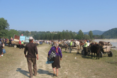 Naruja-2009-347